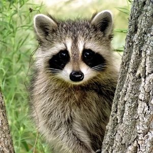 Meet your Posher, Connie